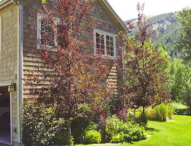 gallery/medium/202 (19)-Gardeners-Ketchum-Idaho.jpg